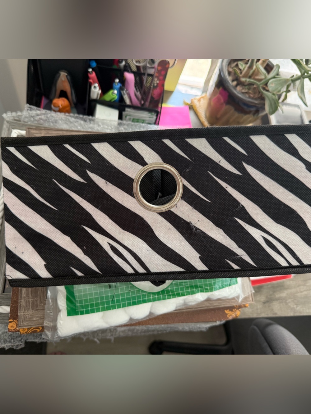 Zebra-Stripe Black & White Home Accent Organizer - Unbranded